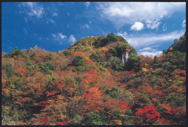 【紅葉・見ごろ】香落渓