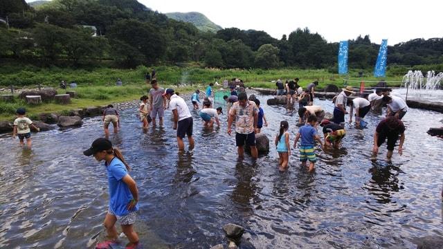 マスのつかみ取り