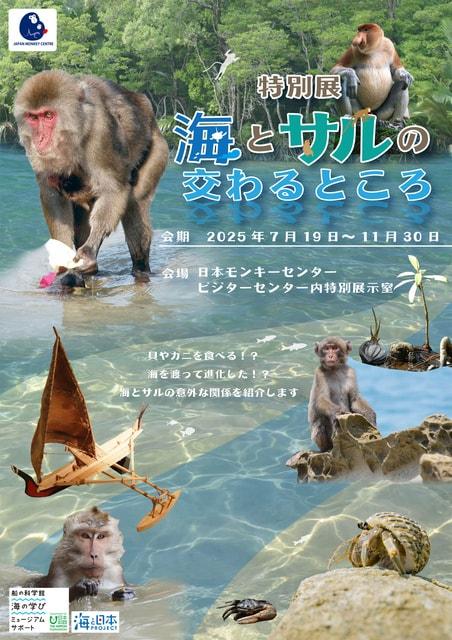 特別展「海とサルの交わるところ」