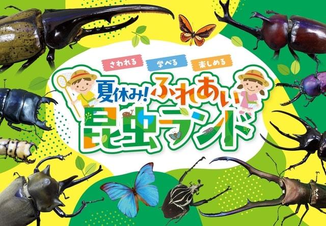 夏休み！ふれあい昆虫ランド