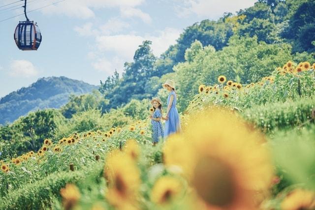 GARDEN FEST 2025 -Summer- きっと忘れない夏
