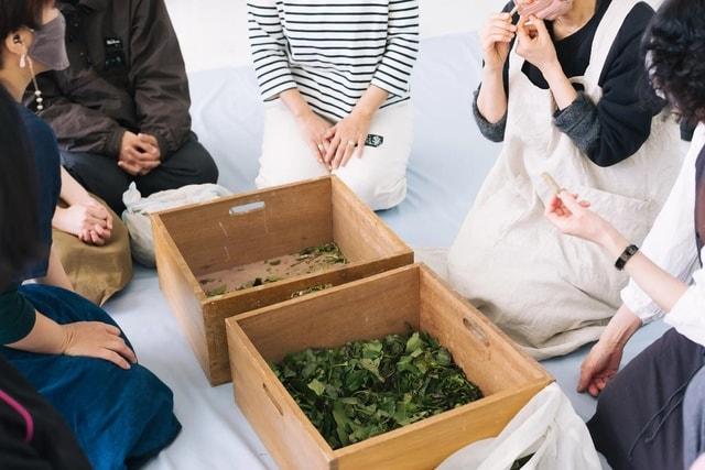 山本愛子「NATURE COLOR PICNIC in 妻有／植物採集の会・草木染の会」