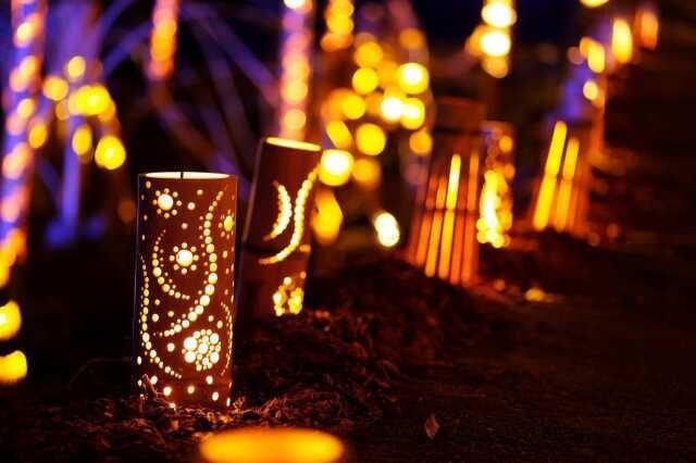 2025年渓谷ライトアップ　赤目渓谷「滝あかり」