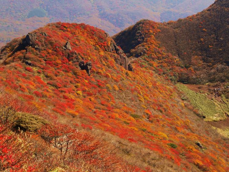 2016年紅葉【大分】九重連山の見頃・混雑状況を教えて！