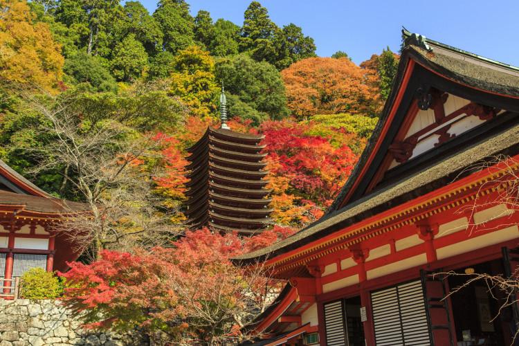 2016年紅葉【奈良】桜井・談山神社の見頃・混雑状況を教えて！