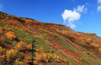 早めのチェックが吉！全国のイチオシ紅葉スポットまとめ