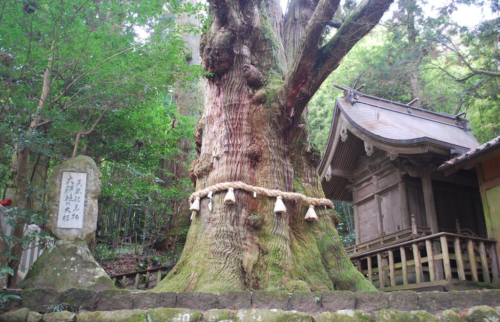 自然を感じる大分県のパワースポット2選