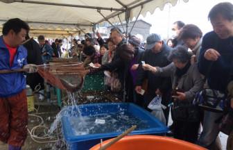 【ご当地ライター】和歌山発！毎月、鮮魚販売と加太のうまいもんが集結！そのあとはレトロカフェでまったり