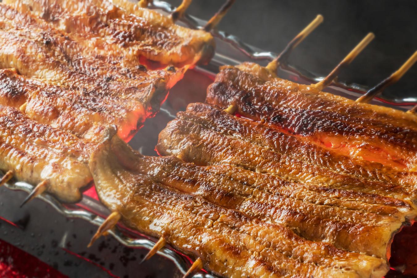 【季節・歳時記】うなぎを食しに浜名湖へ