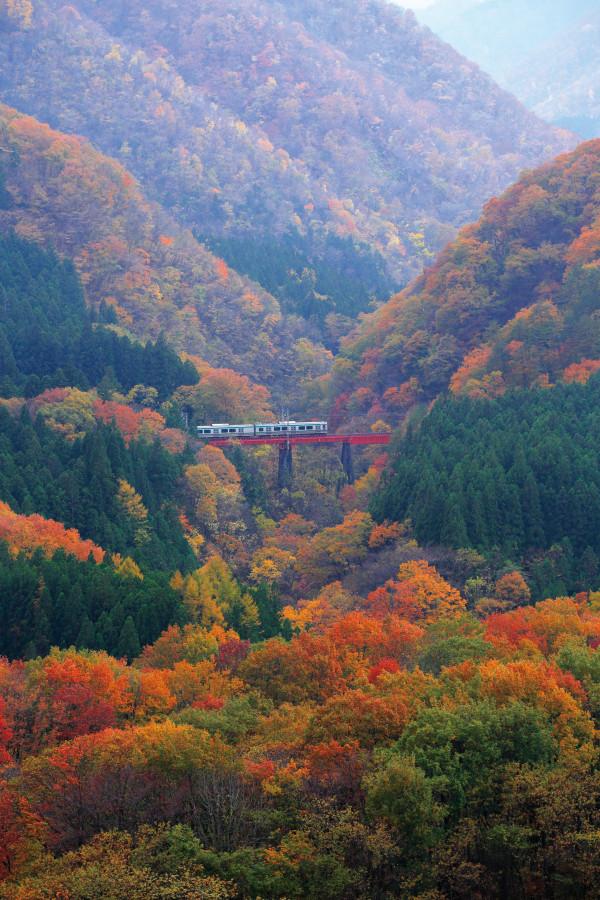 車は置いて出発！ローカル線に乗って観る紅葉旅【東北版2018年10・11月号】