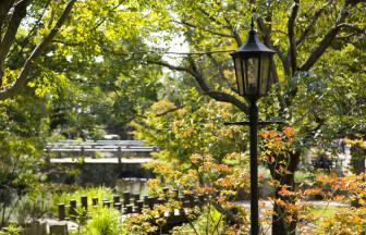 四季折々の美しいハーブや花々を鑑賞！「ハーブ庭園 旅日記」