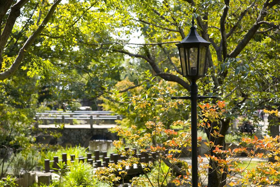 四季折々の美しいハーブや花々を鑑賞！「ハーブ庭園 旅日記」