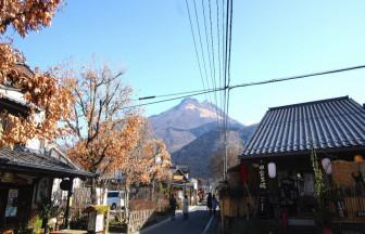 これぞ湯布院！散策必須　おしゃれと自然が融合する地　湯の坪街道