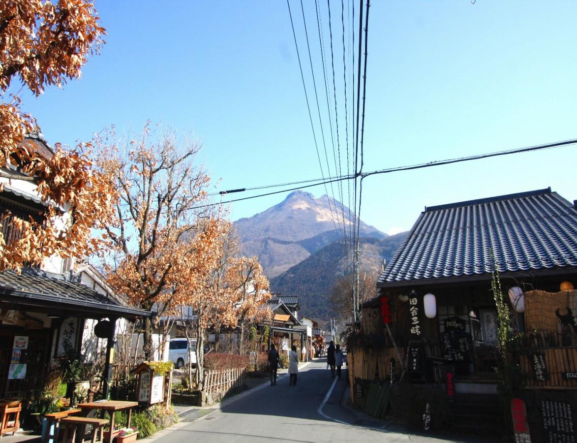 これぞ湯布院！散策必須　おしゃれと自然が融合する地　湯の坪街道
