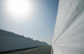 日本一長い「雪の回廊」と「桜」を楽しむ贅沢ドライブ！