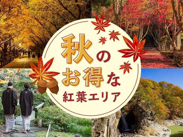 ここが見どころ！近畿エリアの紅葉おすすめ情報