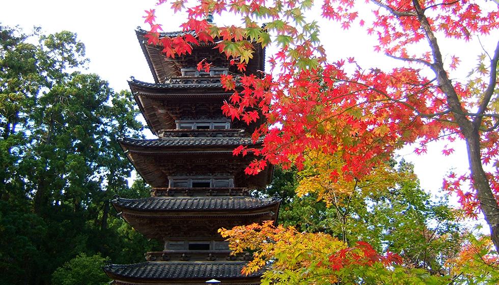 10月下旬～11月上旬が見頃！世阿弥も眺めた「佐渡島の紅葉」