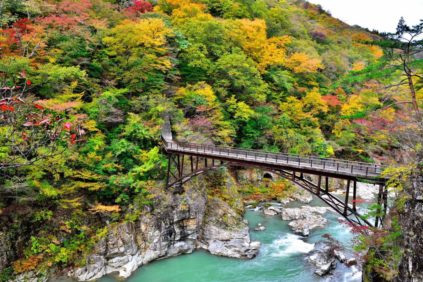 鬼怒川・川治・湯西川温泉から行ける！栃木県の紅葉おすすめスポット