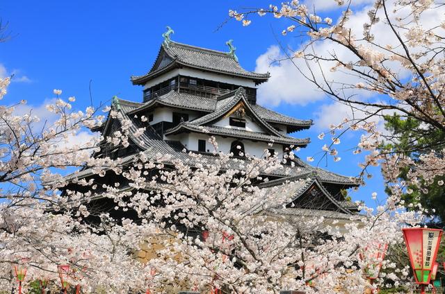 春の温泉旅行におすすめ！日本の城と桜が楽しめる名所9選