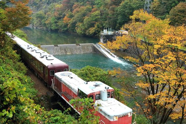 ダイナミックな絶景を楽しめる！ トロッコ列車5選