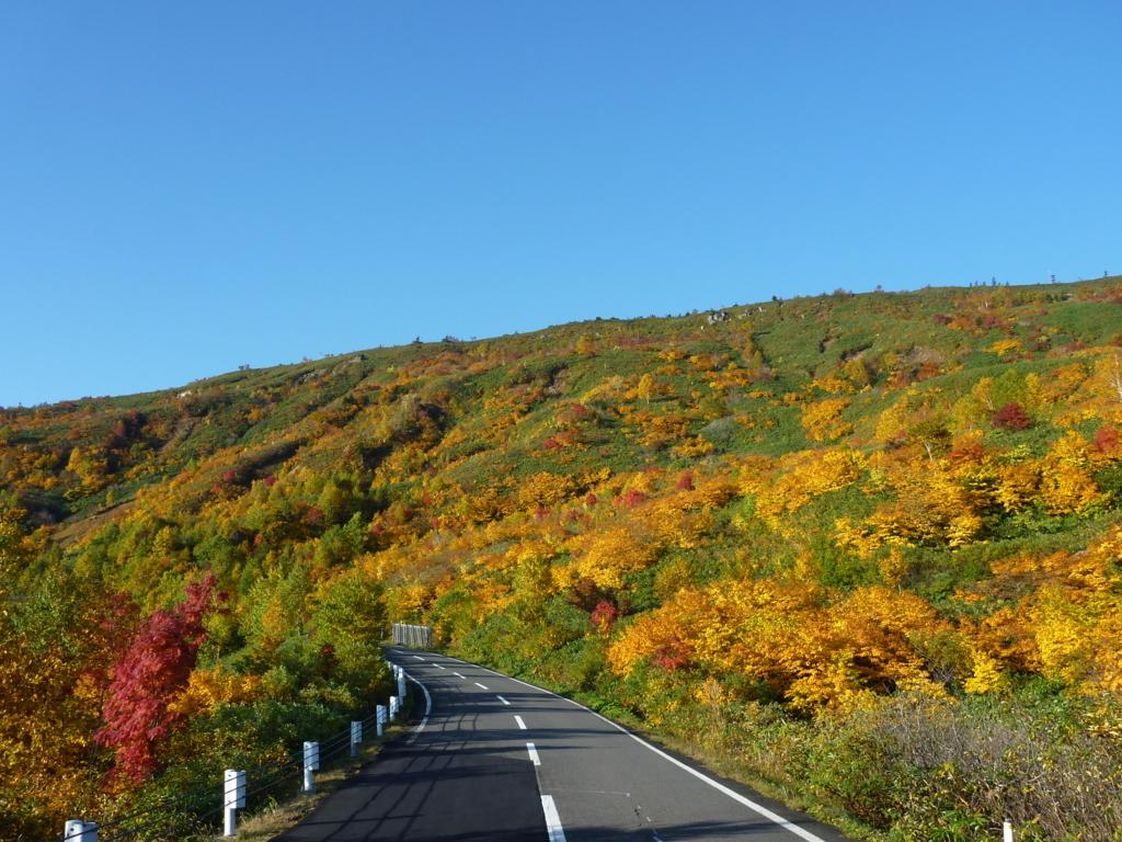 2016年紅葉【岩手】八幡平アスピーテラインの見頃・混雑状況を教えて！